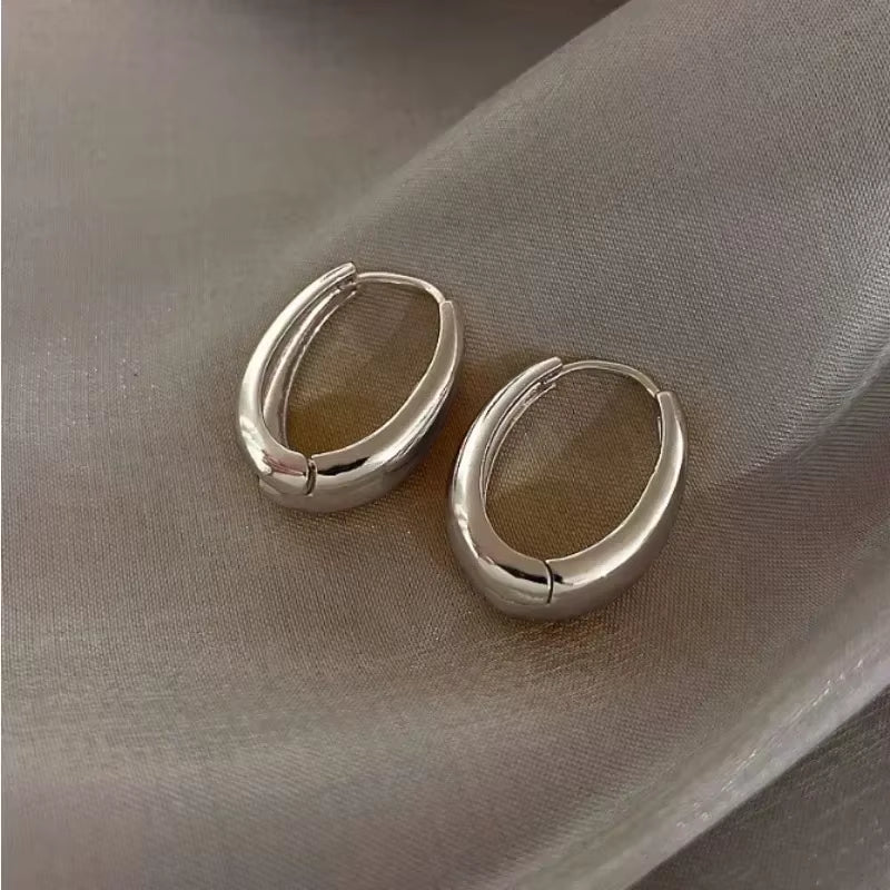 2023 Hot Sale Fashion Metal Hoop Earrings for Woman Vintage Doop Earring Trend Classic Party Wedding Ear Buckle Jewelry Gift